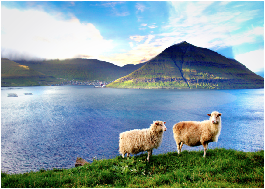 Hvat kanst TÚ gera fyri ferðavinnuna í Fuglafirði?