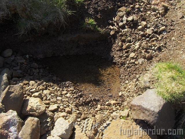 Varmakelduskrá 2017