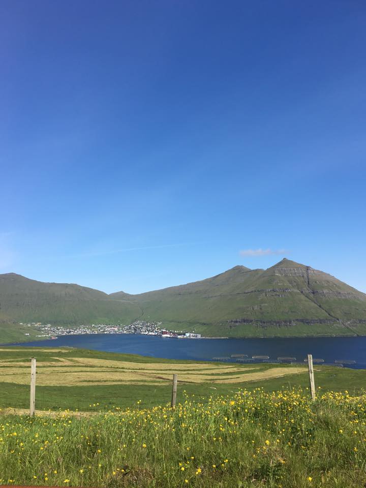 SUMMARFERIA Í VIKU 30 OG 31.