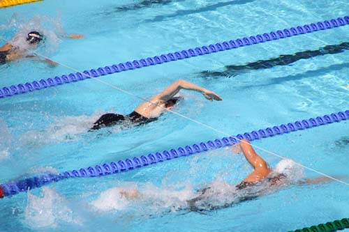 Svymjihylurin stongdur