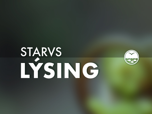 Starvslýsing-Umsóknarfreistin longd