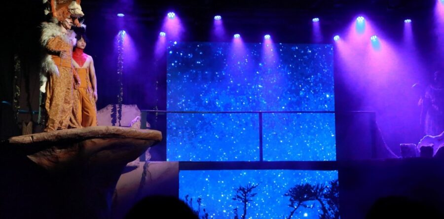 Leyvukongurin í Mentanarhúsinum – frásøgn frá Dáva Winther