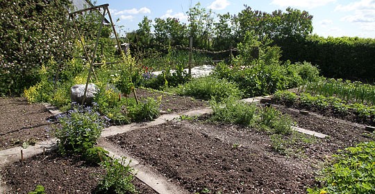 Manglar tær øki til at velta grønmeti í ?????