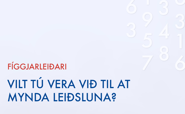 Vit skulu hava nýggjan fíggjarleiðara