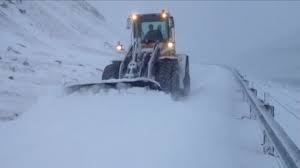 Salting og kavagrevstur í Fuglafirði og á Kambsdali