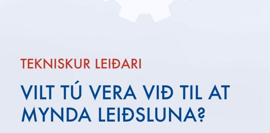 Vit leita eftir tekniskum leiðara