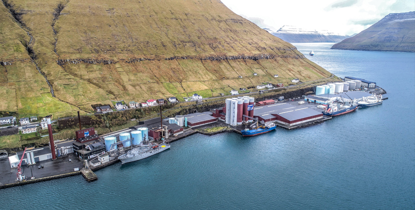 Starvslýsing : Havnaumsjónarmaður til Fuglafjarðar Havn
