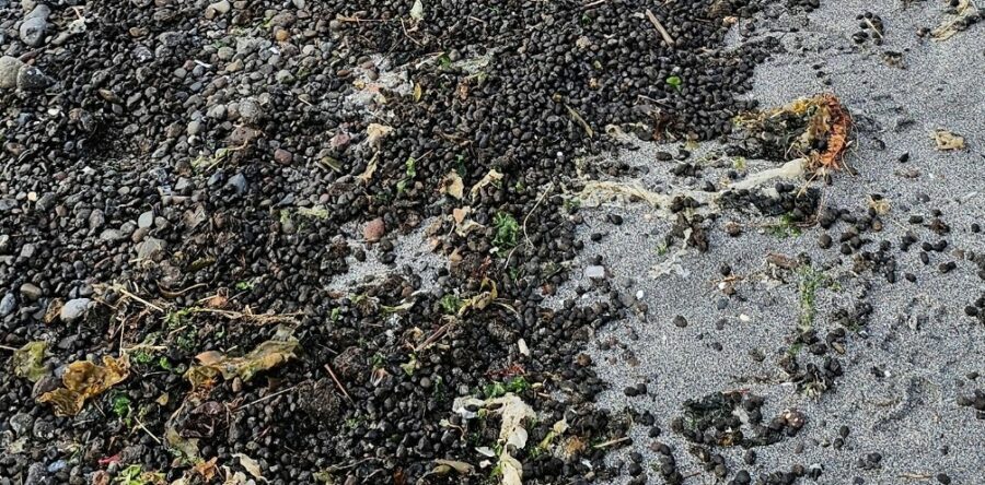 Áheitan til allar borgarar!