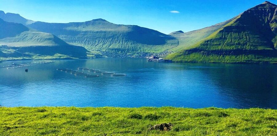 stongt fríggjadagin 13. juni 2025.