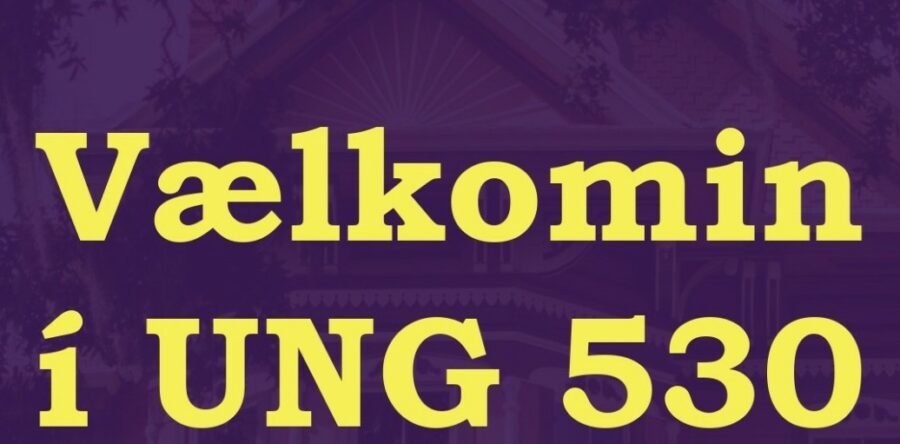 Vælkomin í UNG 530